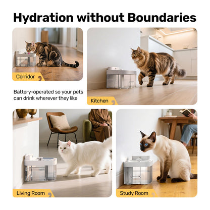 HAPAW Cat Water Fountain. Chosen for real quality, fits naturally into modern pet homes.