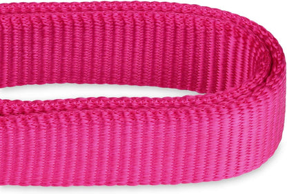 Hyhug Pets Upgraded Heavy Duty Nylon Escape-Proof Martingale Dog Collar for Small Dogs Comfy and Safe - Professional Training, Daily Walking and Jogging. (Small, Rose Red)