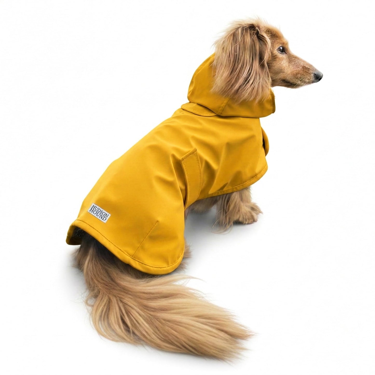 HUDSON HOUND Dachshund Raincoat. Chosen for real quality, fits naturally into modern pet homes.