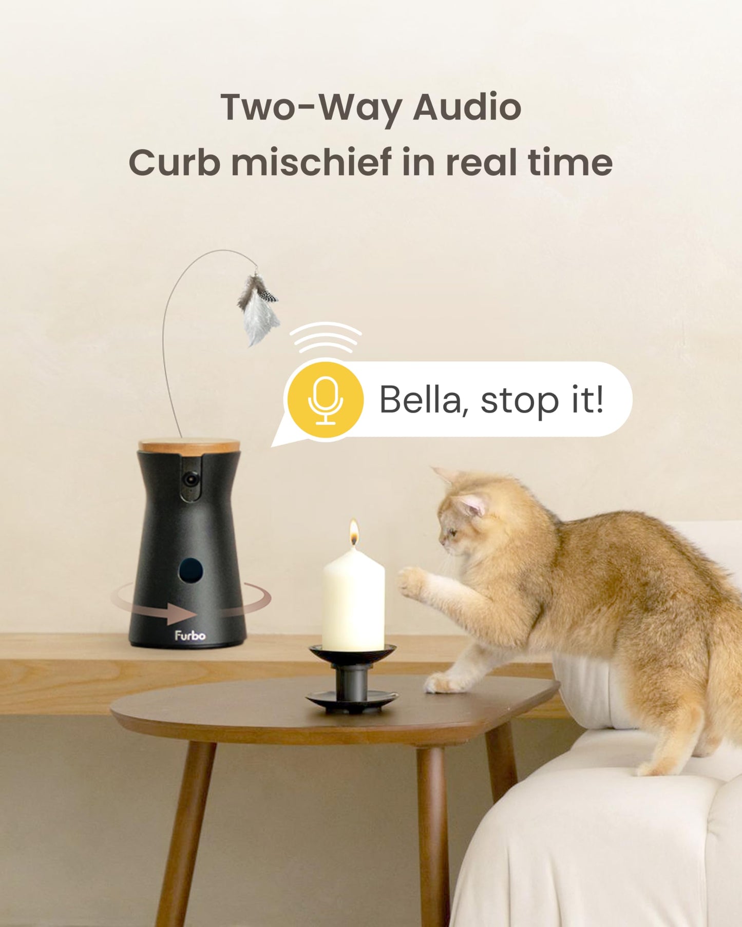 Furbo 360° Cat Camera [No Monthly Fee]. Chosen for real quality, fits naturally into modern pet