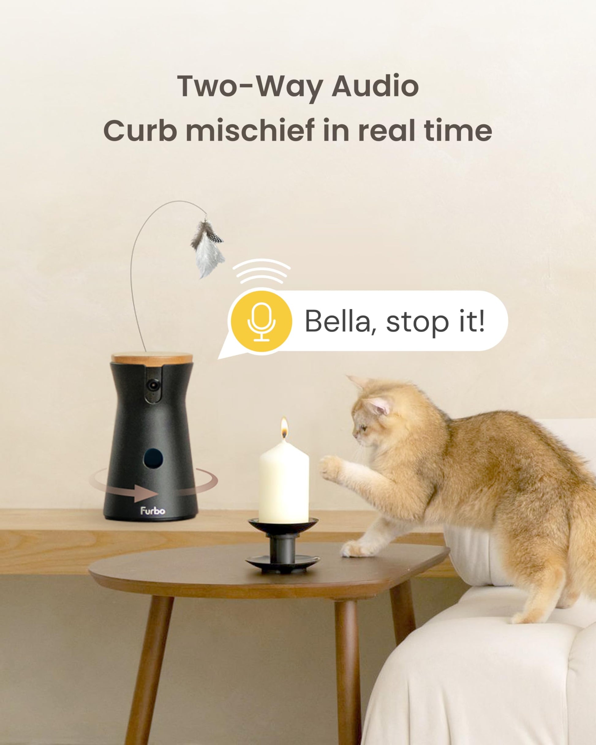 Furbo 360° Cat Camera [No Monthly Fee]. Chosen for real quality, fits naturally into modern pet