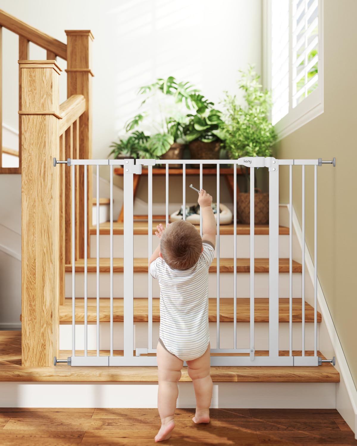 keny 29". Chosen for real quality, fits naturally into modern pet homes.