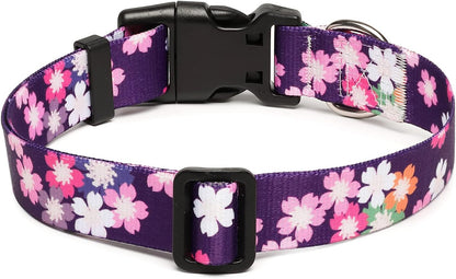 Mercano Adjustable Dog Collar - Special Design Patterns, Soft Nylon Comfortable Sturdy Pet Collar for Small Medium Large Dogs (M, Floral Pink)