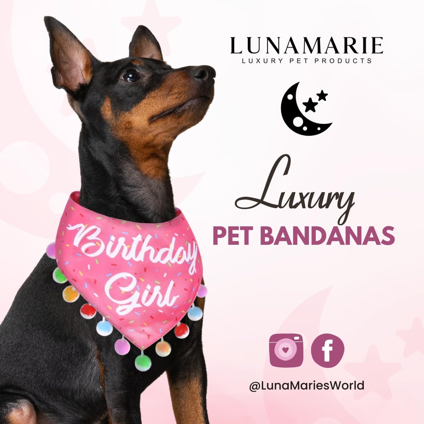 LunaMarie - Luxury Pet Birthday Bandanas -Premium & Silky Poly Fabric | 100% Handmade | Custom Shape Dual Layered (Birthday Girl, Large)