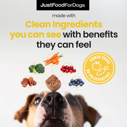JustFoodForDogs Hip + Joint Soft Chews Mobility Supplement for Dogs with Glucosamine and Chondroitin, Superfood Blend, Human Grade, Plant-Based - 45 Count