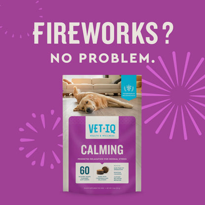 VetIQ Calming Support Chews for Dogs. Chosen for real quality, fits naturally into modern pet homes.