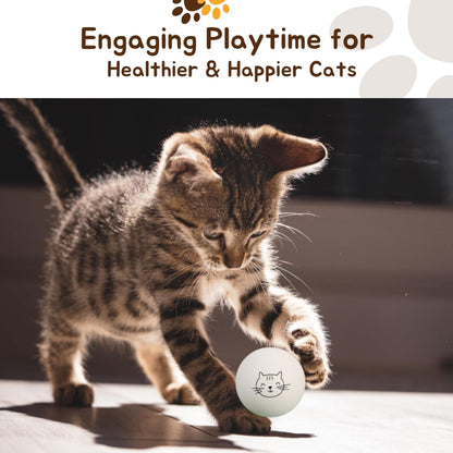 Ping Pong Balls for Cats, 6 Pack, Enrichment Toys, Cat Lovers Gift Ideas, Ball Pits, Bouncy
