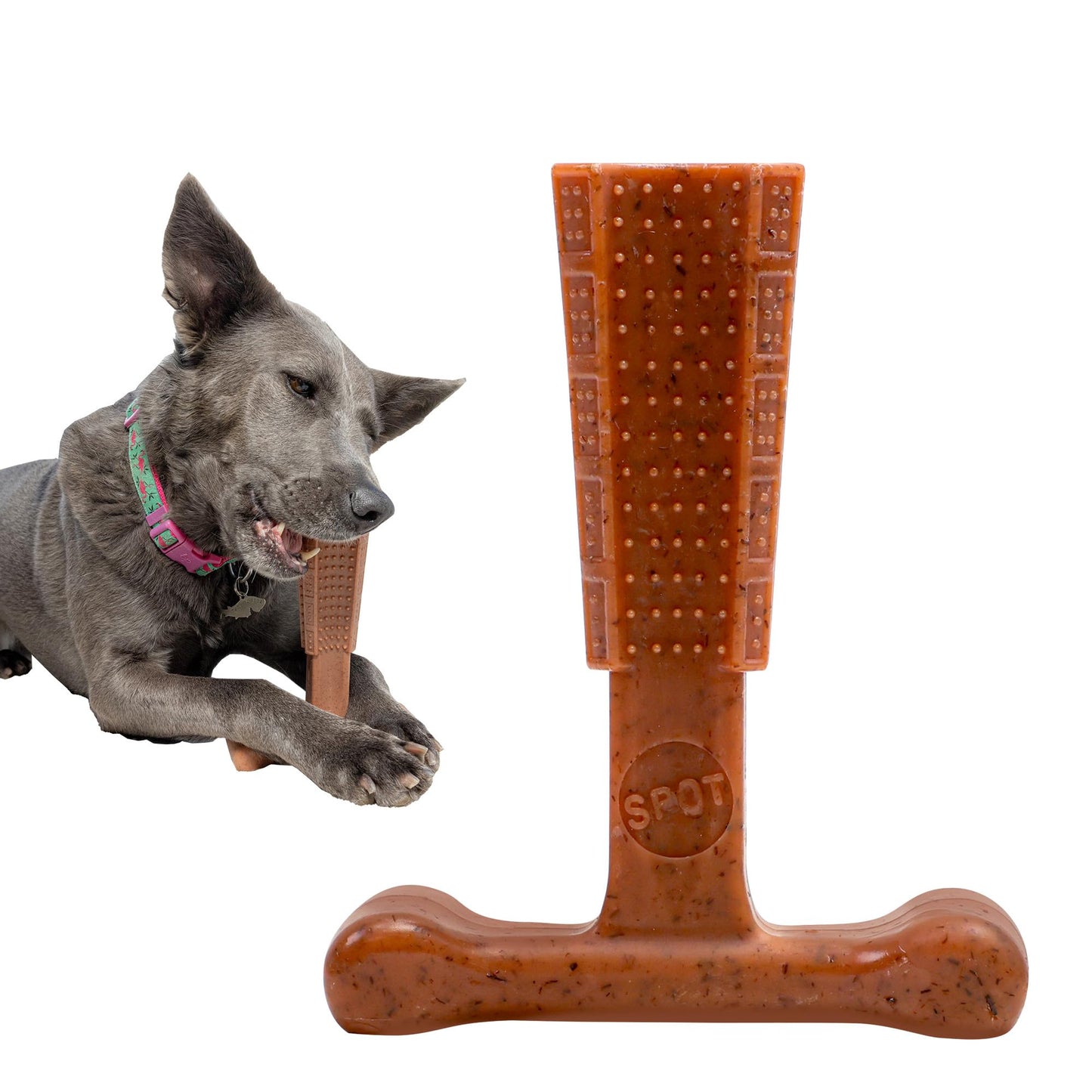 SPOT Bam. Chosen for real quality, fits naturally into modern pet homes.
