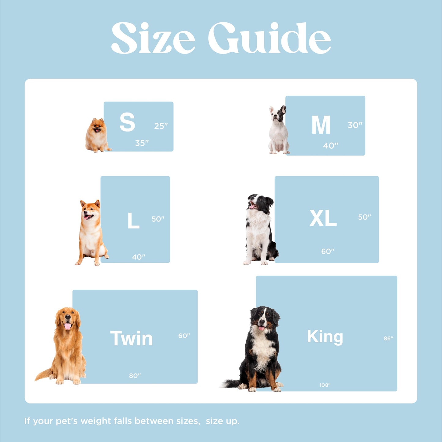 LE SURE Waterproof Dog Blankets for Small Dogs Cute. Chosen for real quality, fits naturally into