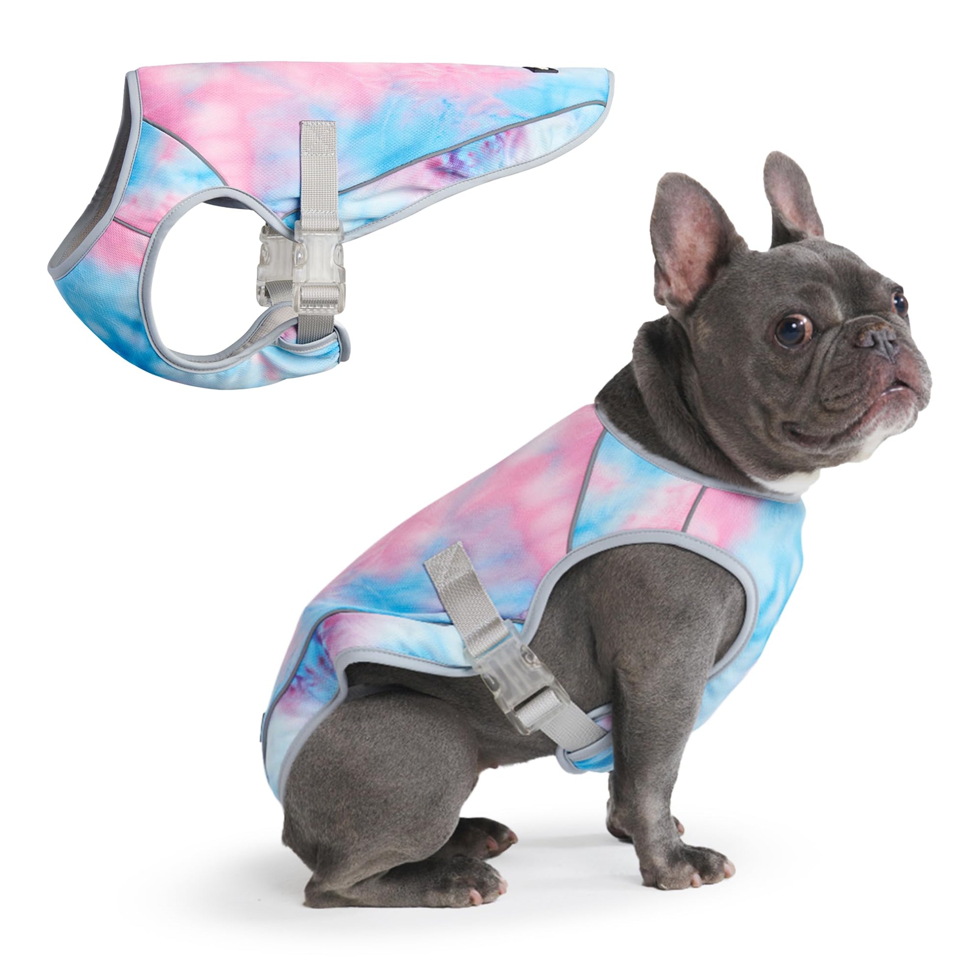 Spark Paws Dog Cooling Vest. Chosen for real quality, fits naturally into modern pet homes.