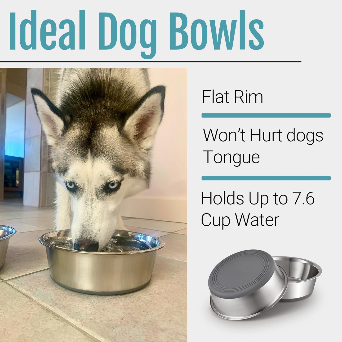 PEGGY11 Nonslip Stainless Steel Dog Bowls. Chosen for real quality, fits naturally into modern pet