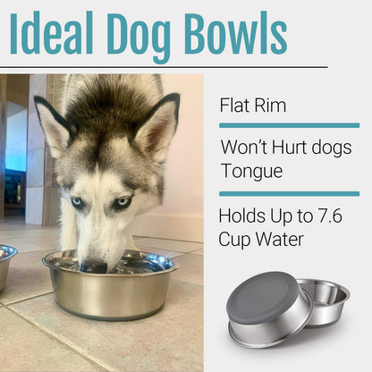 PEGGY11 Nonslip Stainless Steel Dog Bowls. Chosen for real quality, fits naturally into modern pet