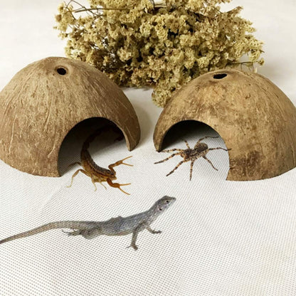 PINVNBY 2 PCS Natural Coconut Reptile Hideouts Lizard Coco Hut Hermit Crab Hut Aquarium Fish Hide Cave Spider Snail Climber Toys