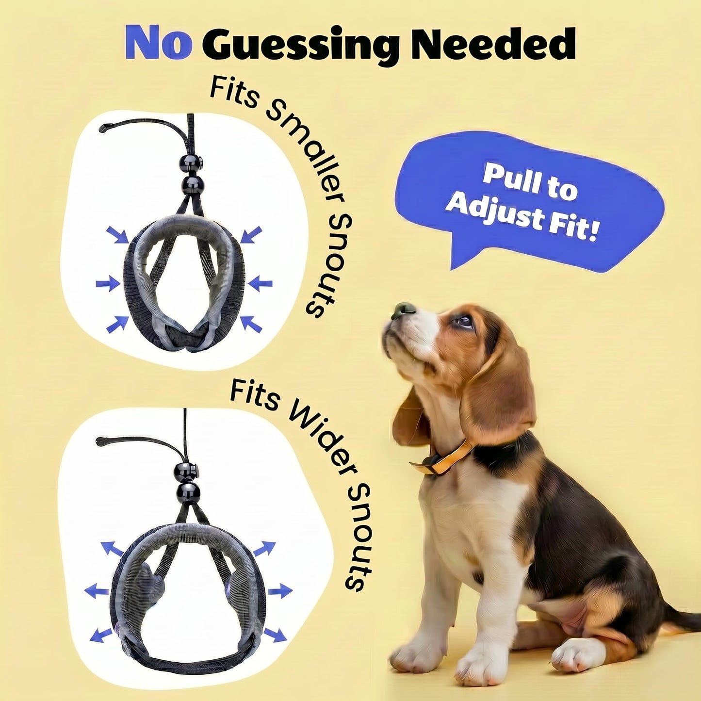 One. Chosen for real quality, fits naturally into modern pet homes.