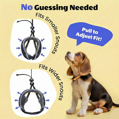 One. Chosen for real quality, fits naturally into modern pet homes.