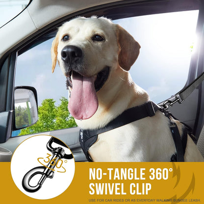 OneTigris Dog Safety Vest Harness, REX Car Use Dog Harness Adjustable Pet Harness with Leash for Medium Large Dogs(Black,L)