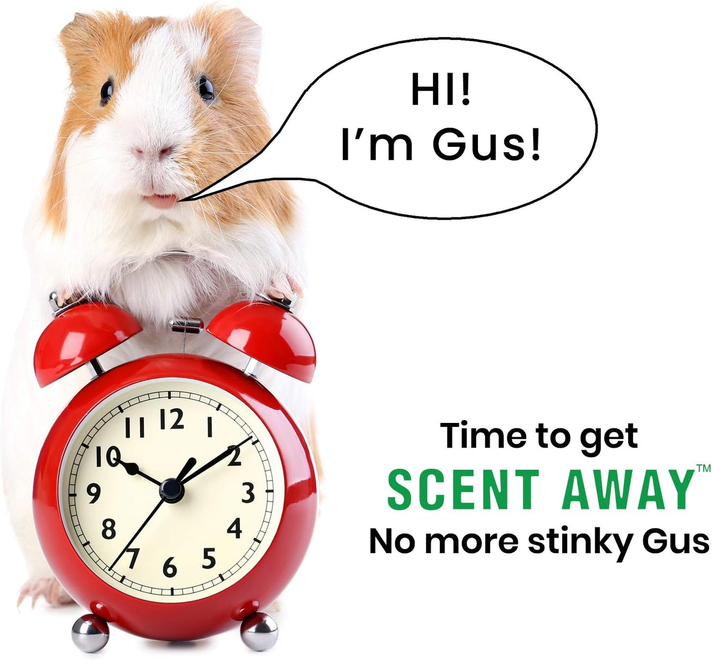 | Small Animal Bedding Deodorizer | 100% Natural & Fragrance Free, Non-Toxic Pet Odor Eliminator for Home | Active Carbon & Zeolite Extends Pet Bedding Life | Deodorizer for Pets 4lbs