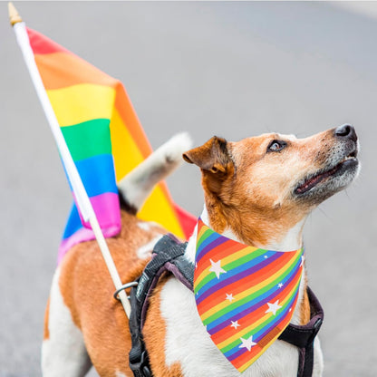 PTDECOR Rainbow Dog Bandanas Pride Day, Multi Size,“Love is Love” Pet Scarf Reversible Triangle LGBT+ Rainbow Bandanas for Large X-Large Dogs Pets (X-Large)