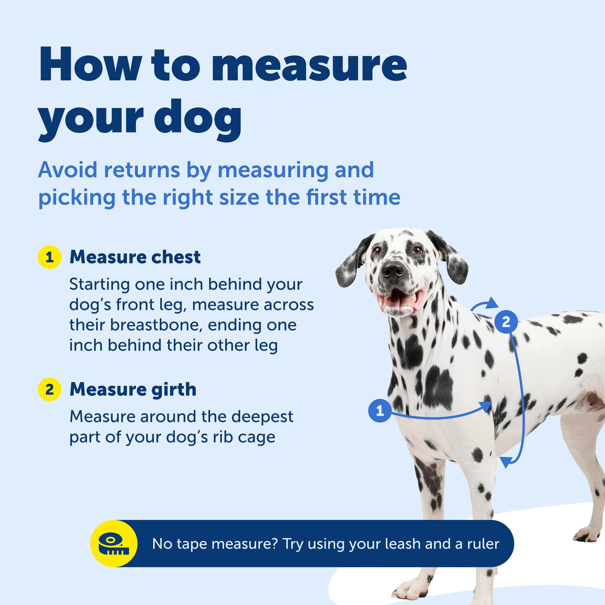 PetSafe Easy Walk Harness. Chosen for real quality, fits naturally into modern pet homes.