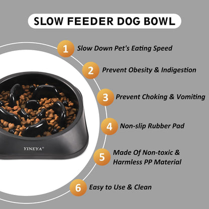 YINEYA Slow Feeder Dog Bowls. Chosen for real quality, fits naturally into modern pet homes.
