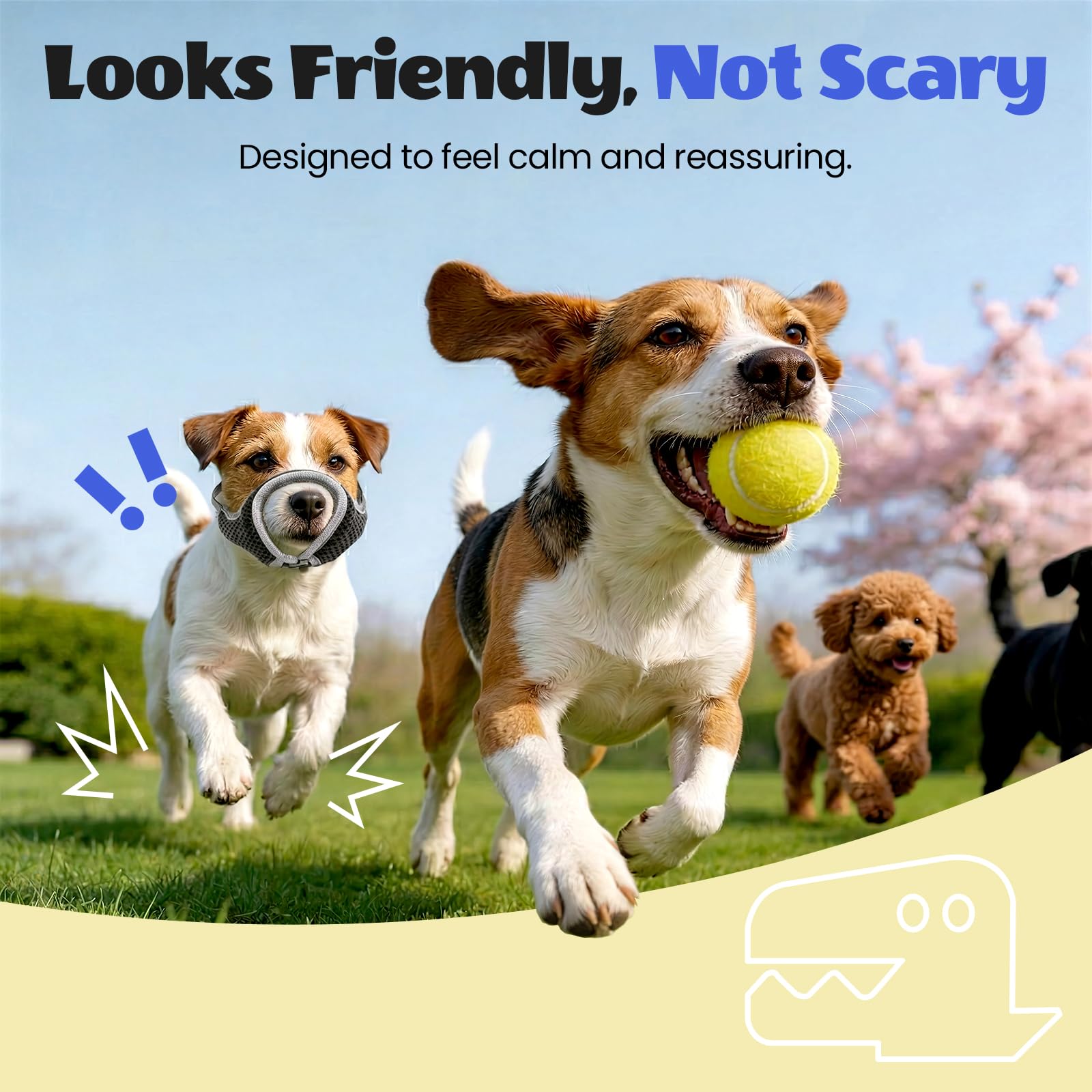 One. Chosen for real quality, fits naturally into modern pet homes.