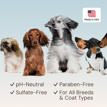 Sunny & Honey Dog Perfume Spray Long Lasting - 4 fl oz (2-Pack) - Deodorizing, Detangling & Hydrating with Avocado Oil & Silk Protein - pH Balanced Dog Cologne Spray - Fresh Breeze Scent