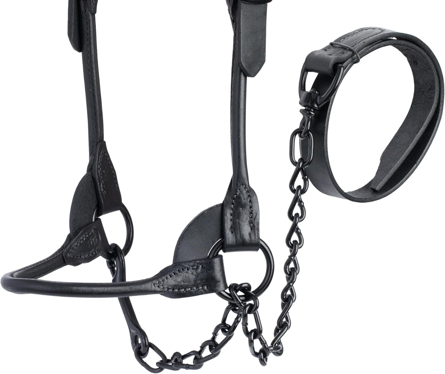 Weaver Livestock Leather Magic Show Cattle Halter, Adjustable, Modern Style Cow Calf Halter, Livestock Handling Equipment for Showing, Black