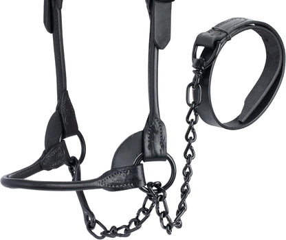 Weaver Livestock Leather Magic Show Cattle Halter, Adjustable, Modern Style Cow Calf Halter, Livestock Handling Equipment for Showing, Black