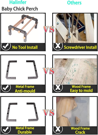 Small Bird Parrot Training Perch Stand for Parakeet Budgies Cockatiel Conure, Durable Heavy Duty Rustproof Metal Frame with 4 Wooden Bars for Bird to Play Climb and Exercise Table Toy