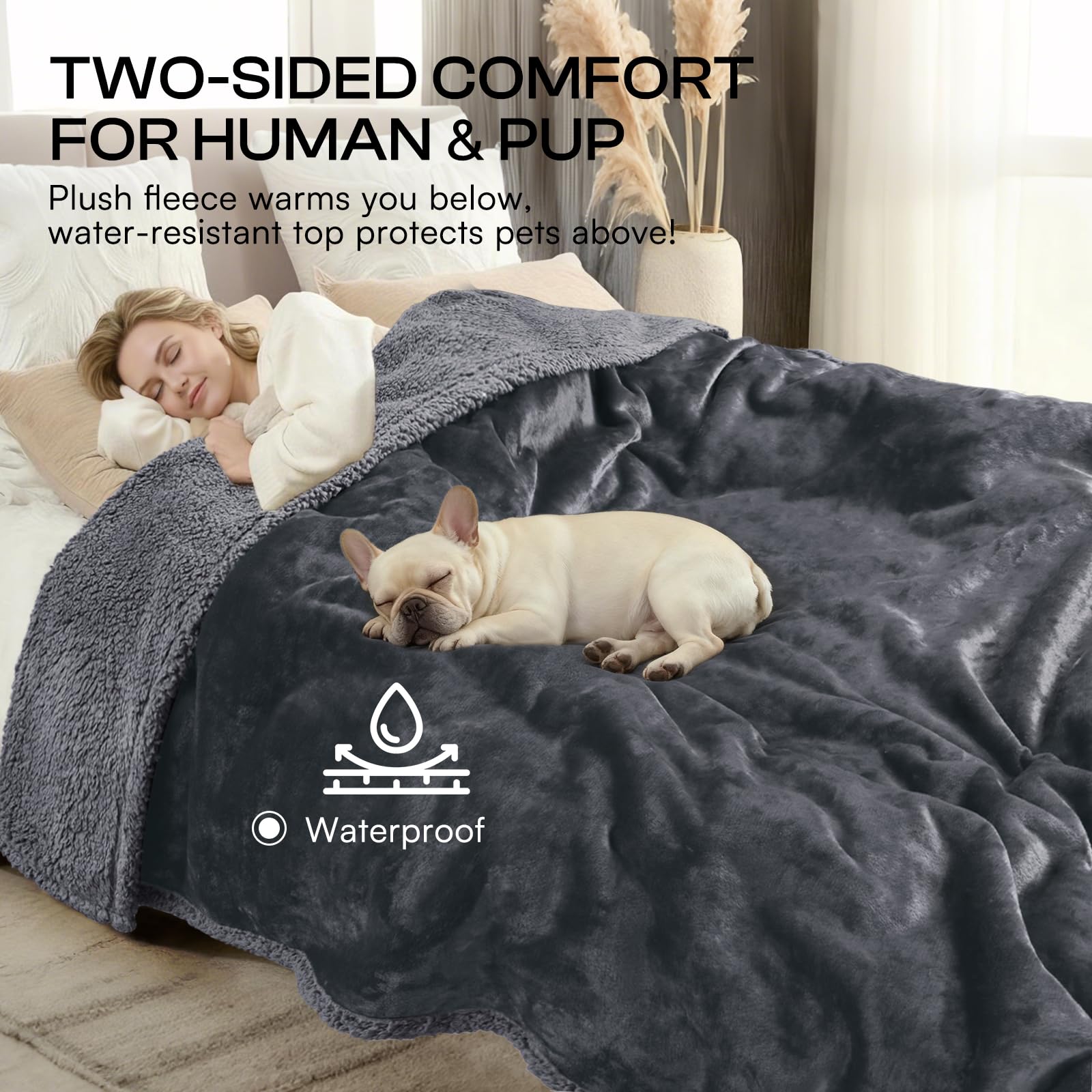 Waterproof Pet Blanket. Chosen for real quality, fits naturally into modern pet homes.