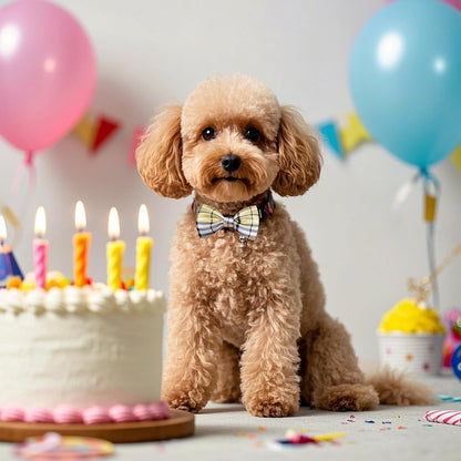 PET SHOW 8pcs Plaid Small Dogs Collar Bow Ties Puppies Cats Collar Charms Accessories Slides Attachment Bowties for Birthday Wedding Parties Assorted