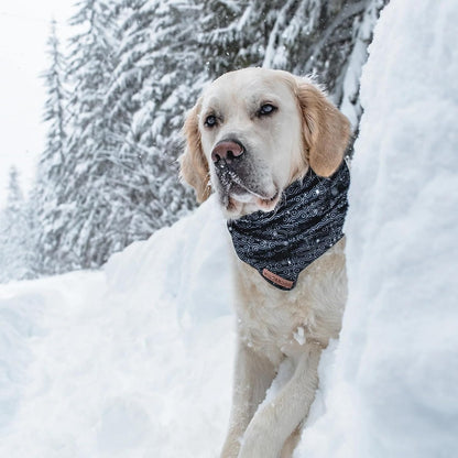 Wilderdog Dog Bandana with Lightweight Quick Drying Poly-Blend Mesh Material in Off The Chain