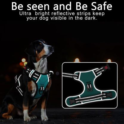 Timos Dog Harness, No-Pull Pet Harness with 2 Leash Clips, Adjustable Soft Padded Dog Vest, Reflective Outdoor Pet Oxford Vest with Easy Control Handle Turquoise