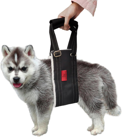 Leather Dog Lift Harness for Small Dogs,Doggie Walking Sling,Puppy Belly Support Strap,Pet Assist Harness for Senior,Injured,Disabled Dogs After ACL Surgery S