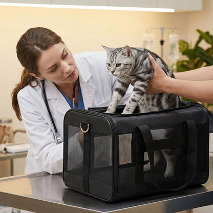 Conlun Cat Carrier Soft. Chosen for real quality, fits naturally into modern pet homes.