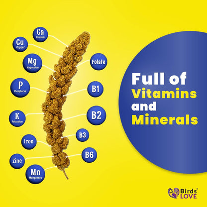 Birds LOVE Economy & Thin Special Spray Millet GMO-Free (No Stems Only Edible Tops) for Birds Cockatiel Lovebird Parakeet Finch Canary All Parrots Healthy Treat - 25lbs