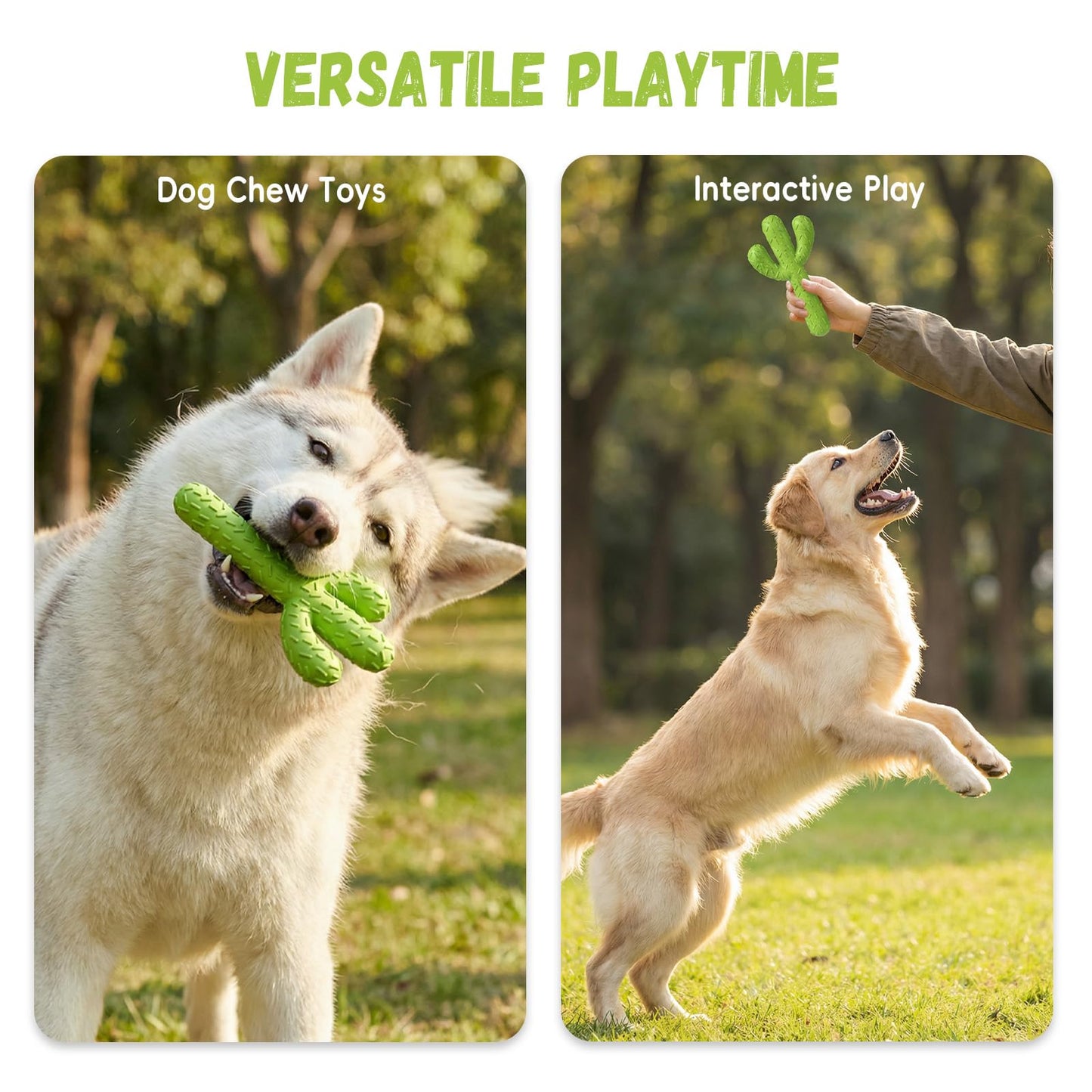 MewaJump Dog Chew Toys. Chosen for real quality, fits naturally into modern pet homes.