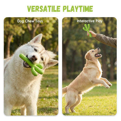 MewaJump Dog Chew Toys. Chosen for real quality, fits naturally into modern pet homes.