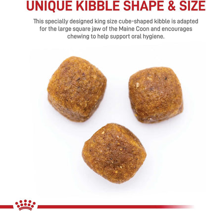 Royal Canin Maine Coon Breed Adult Dry Cat Food, 14 lb bag