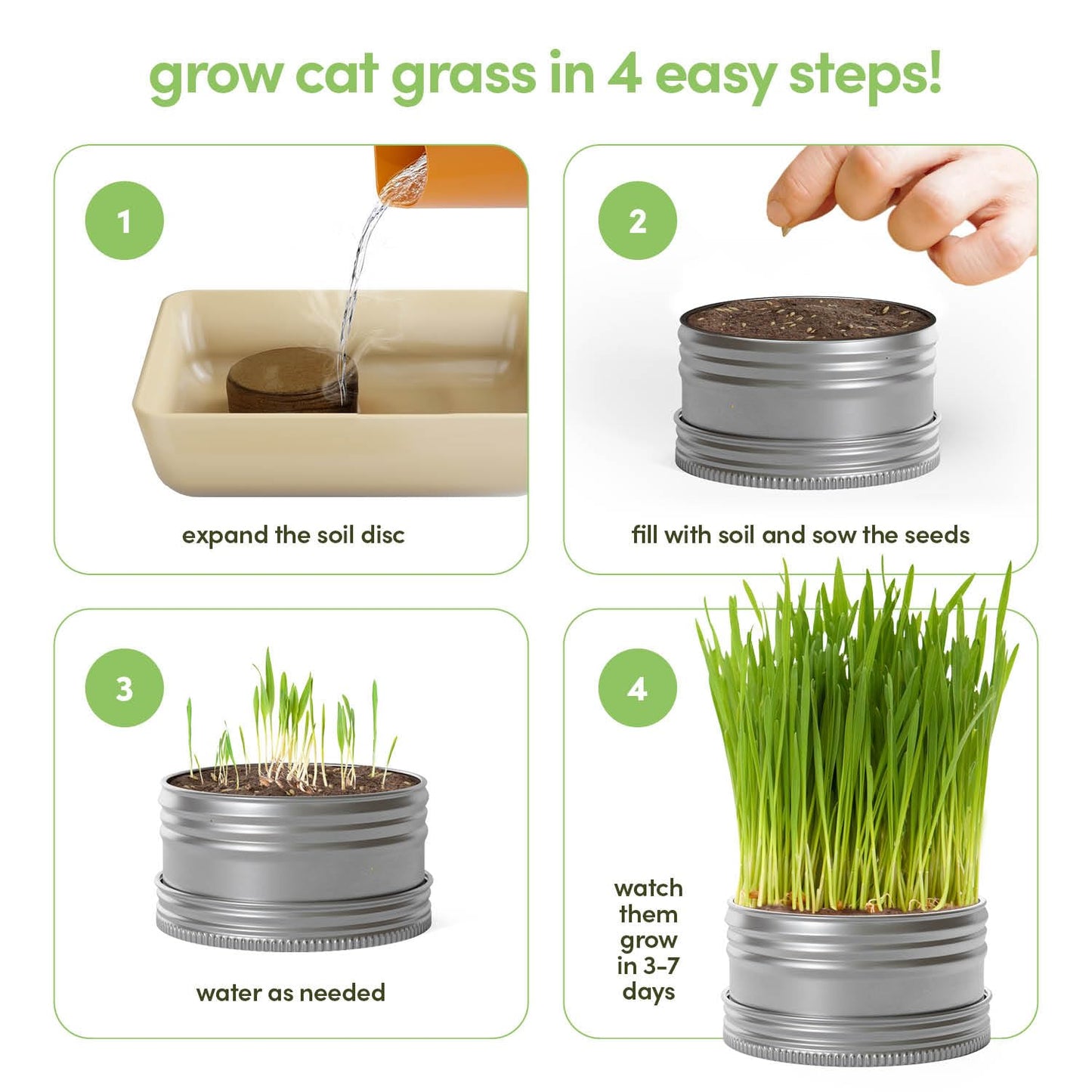 Cat Grass for Indoor Cats Kit. Chosen for real quality, fits naturally into modern pet homes.