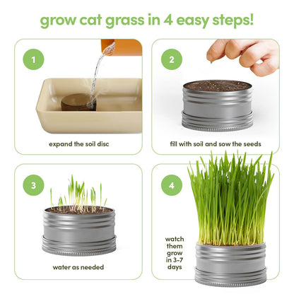 Cat Grass for Indoor Cats Kit. Chosen for real quality, fits naturally into modern pet homes.