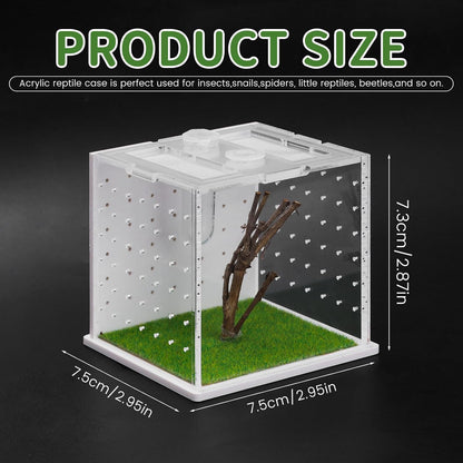 Acrylic Jumping Spider Enclosure, 2.95×2.95×2.87in Transparent Reptile Terrarium, Versatile Tarantula Enclosure for Small Reptiles/Insects, Small Reptile Tank with Dropper, Jumping Spider Accessories