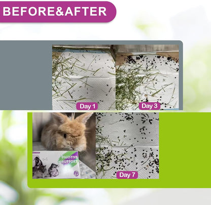 Digestive Support for Rabbits - High Fiber Probiotics, GI Stasis Prevention, Promote Gut Motility, Critical Care Herbivore Supplement, Rabbit & Guinea Pig Treats/Food, 36 Capsules