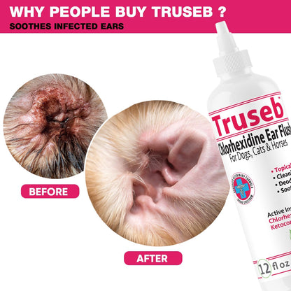 All Natural Ear Flush for Dogs & Cats, Ketoconazole & Chlorhexidine Ear and Vet-Strength Ear wash with a Light Scent (USA) (Ketoconazole & Chlorhexidine Ear Flush, 12 oz)