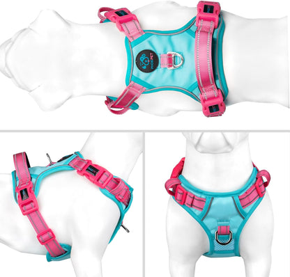 PHOEPET No Pull Dog Harness, Unique Colors Reflective Adjustable Dog Vest, with Soft Training Handle Metal Clips for Small Medium Large Dogs (Mint Green Base & Pink Straps,M)