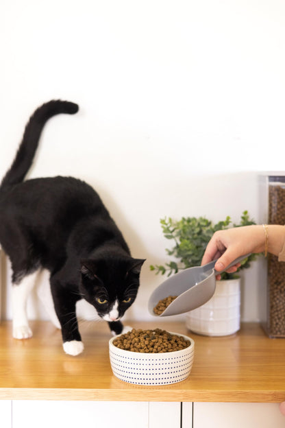 Pearhead Ceramic Cat Bowl. Chosen for real quality, fits naturally into modern pet homes.