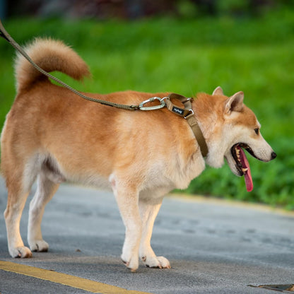 Hyhug Pets Premium Upgraded Heavy Duty Nylon Anti-Escape Martingale Collar for Boy and Girl Dogs Comfy and Safe - Professional Training, Daily Use Walking. (Army Yellow, Large)