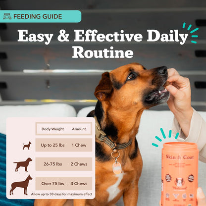 Natural Dog Company Skin & Coat Supplement for Dogs Omega-3 Rich Salmon Oil Chews for Itchy Skin Relief, Shedding & Allergy Support, Shiny Coat Health, with Biotin, Vitamin E, Grain-Free (180 Count)