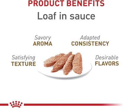 Royal Canin Feline Health Nutrition Aging 12+ Loaf in Sauce Canned Cat Food, 5.1 oz can (24-count)