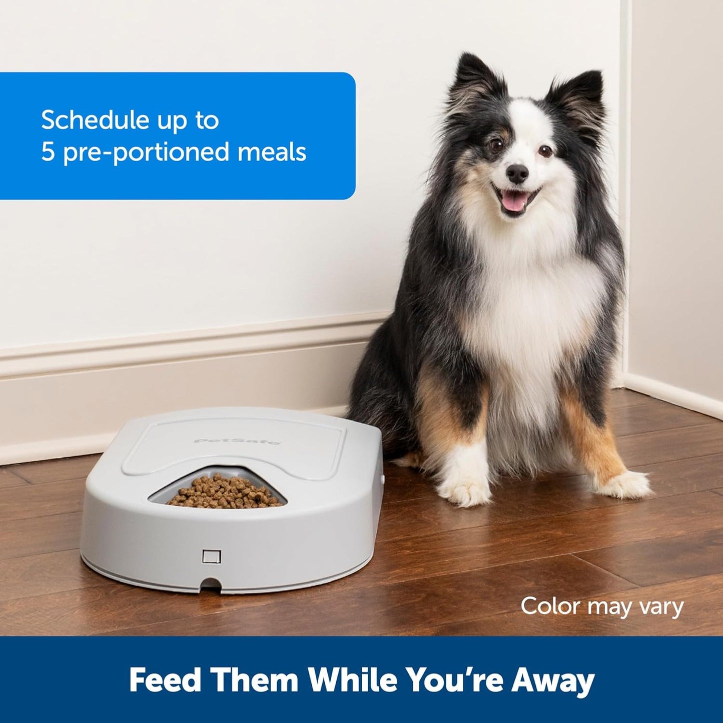 PetSafe Automatic Dog Feeder, 5 Meals, 40 oz Capacity, Plastic, for Dry Food, Multiple Pets
